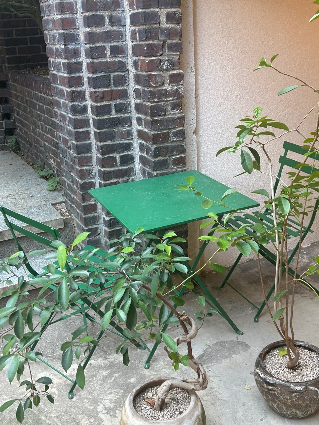 5번째 이미지