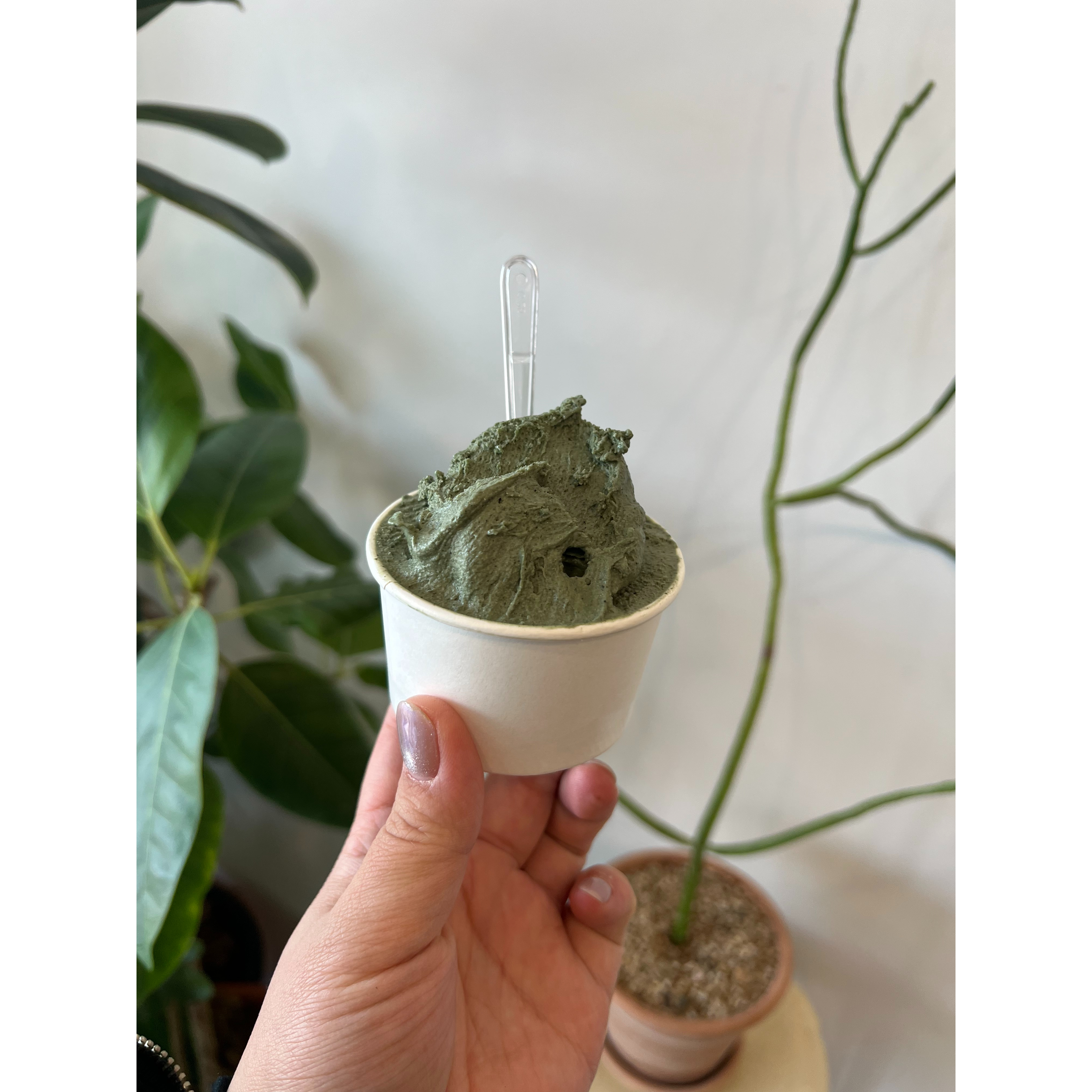 메뉴 이미지