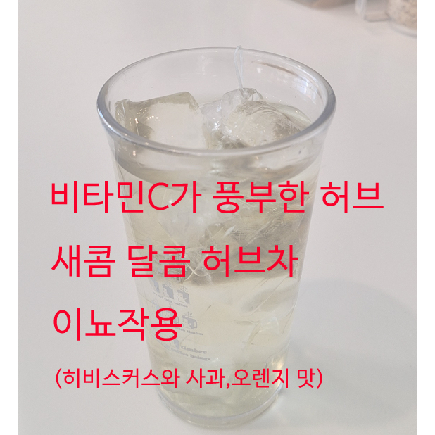 메뉴 이미지