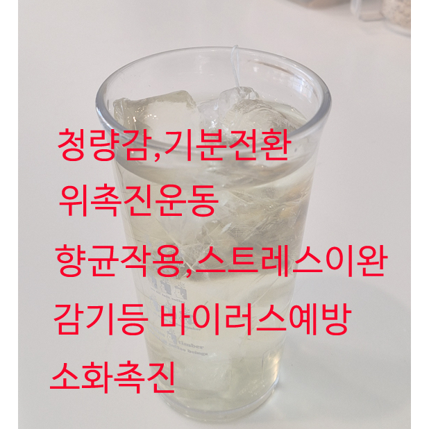 메뉴 이미지