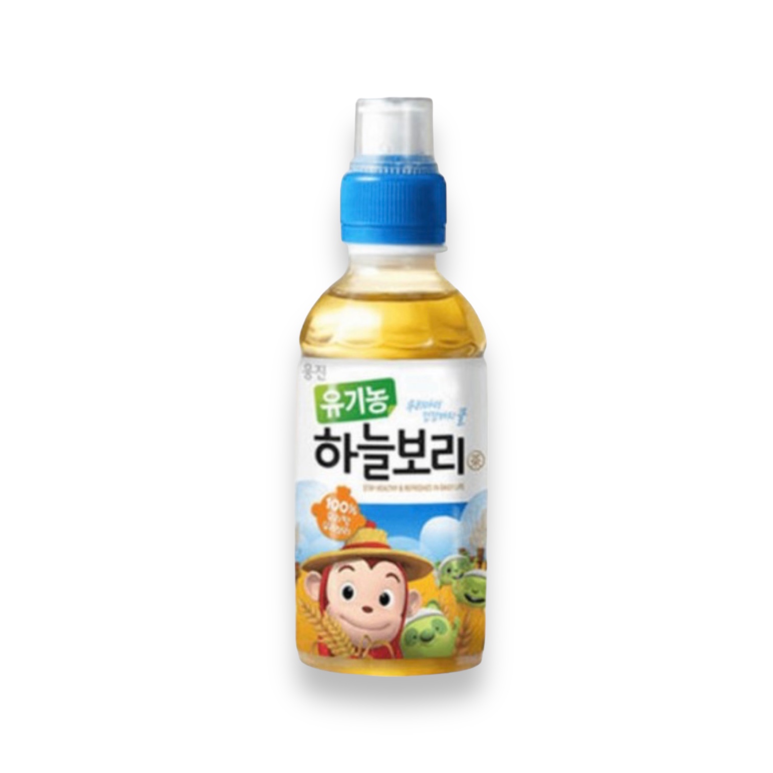 메뉴 이미지
