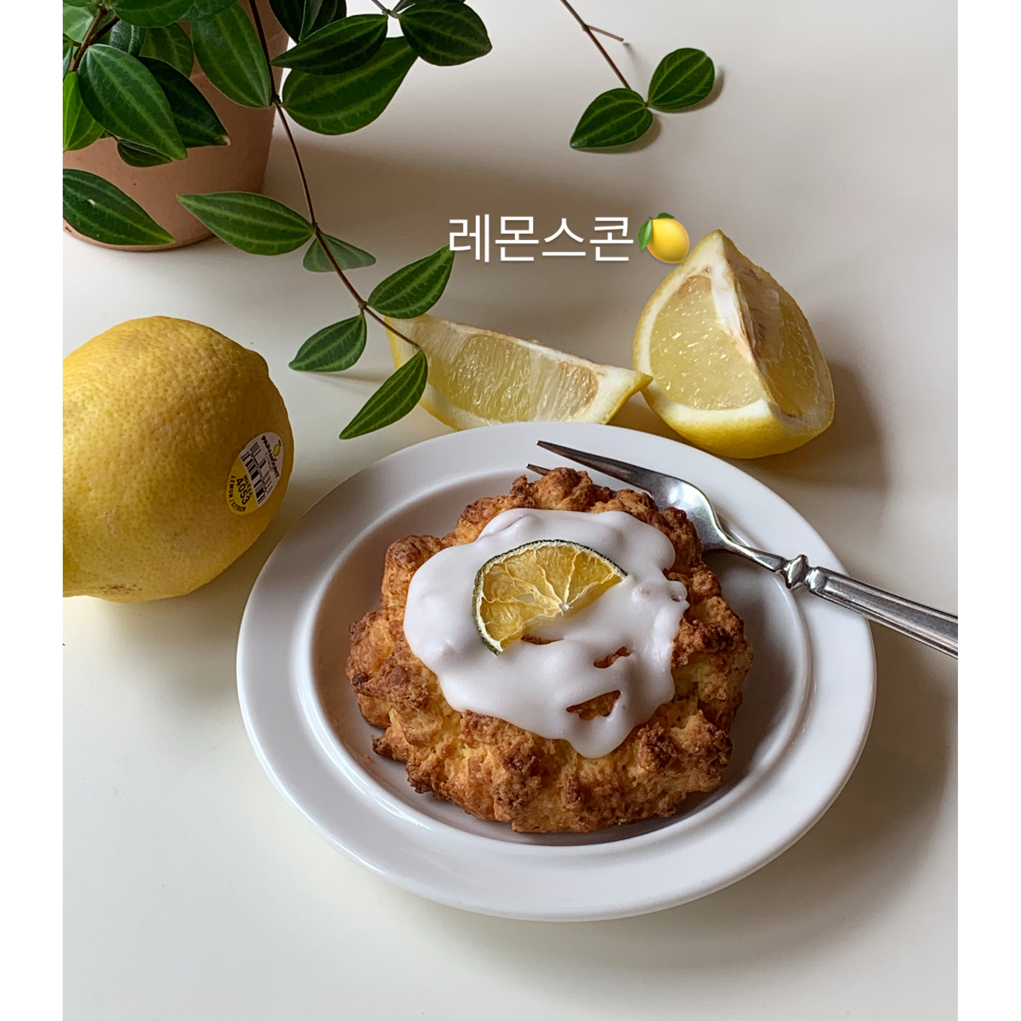 메뉴 이미지
