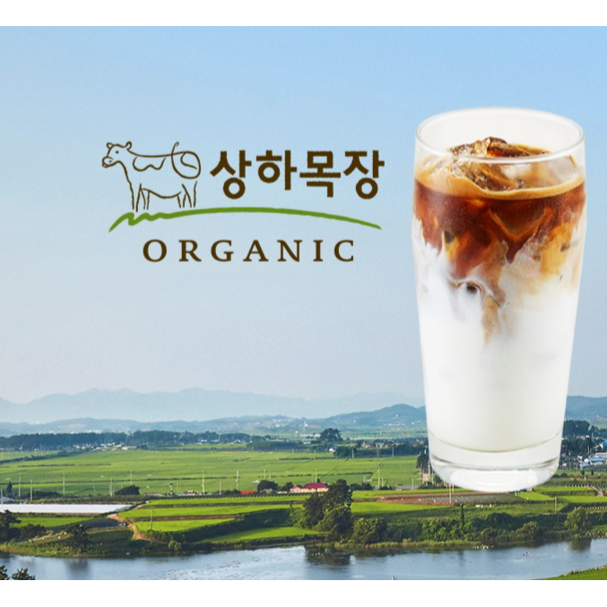 메뉴 이미지