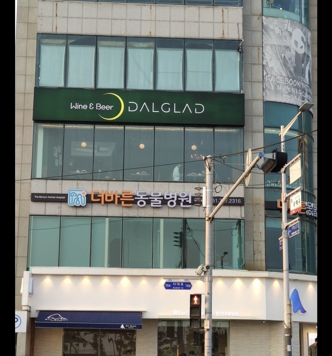 샐러디아 부산다대포점
