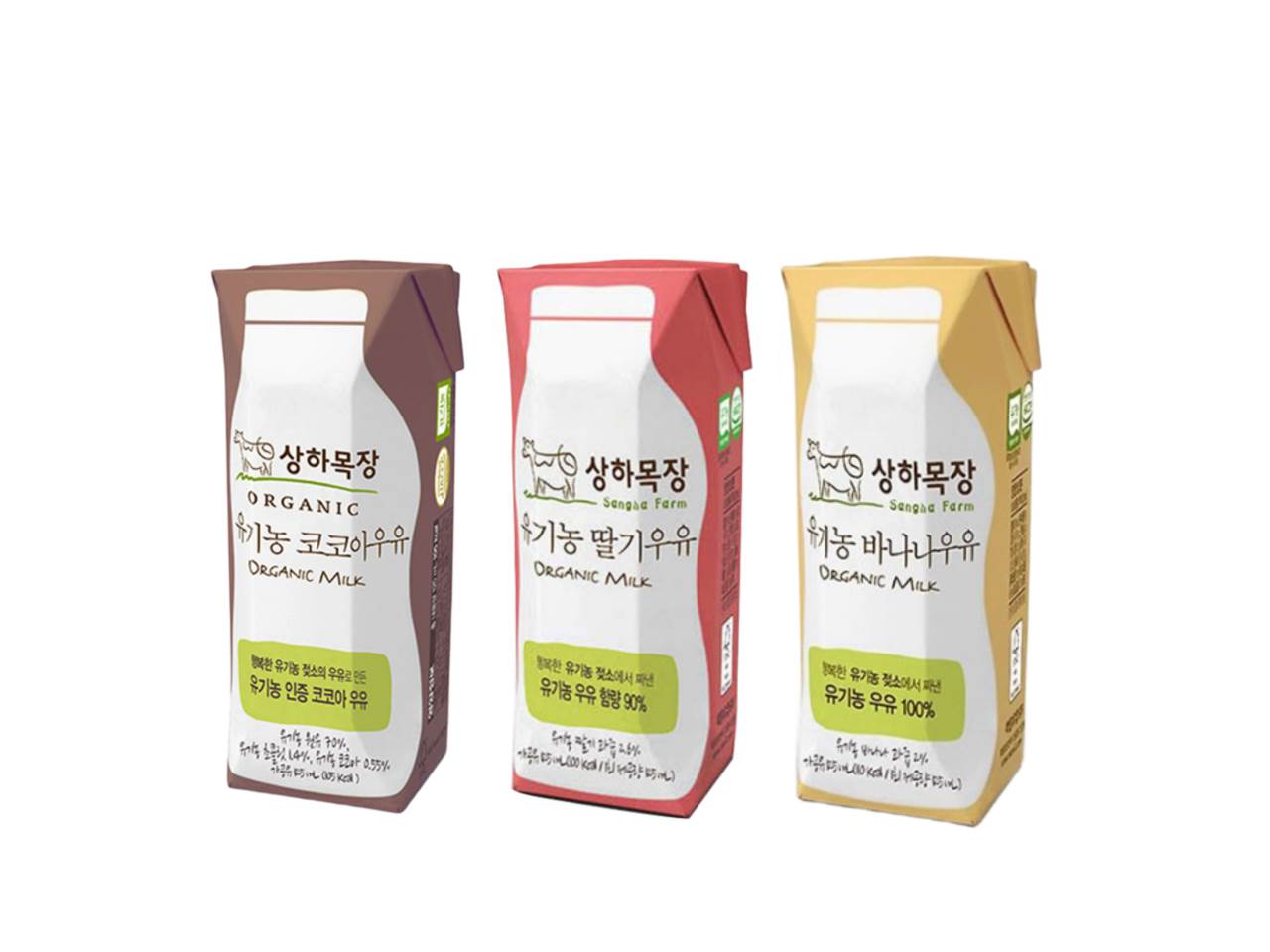 메뉴 이미지