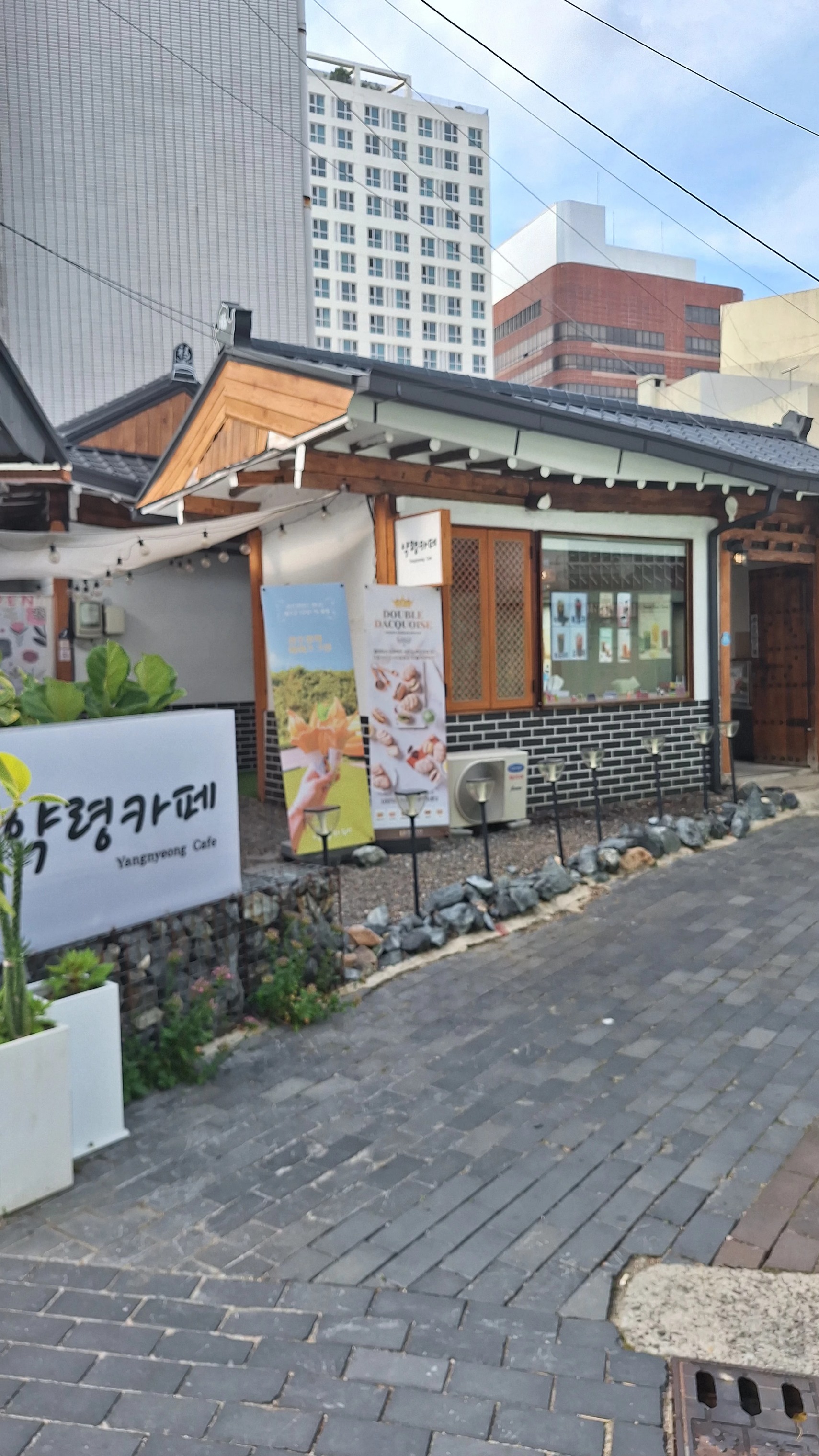 약령카페 매장 이미지