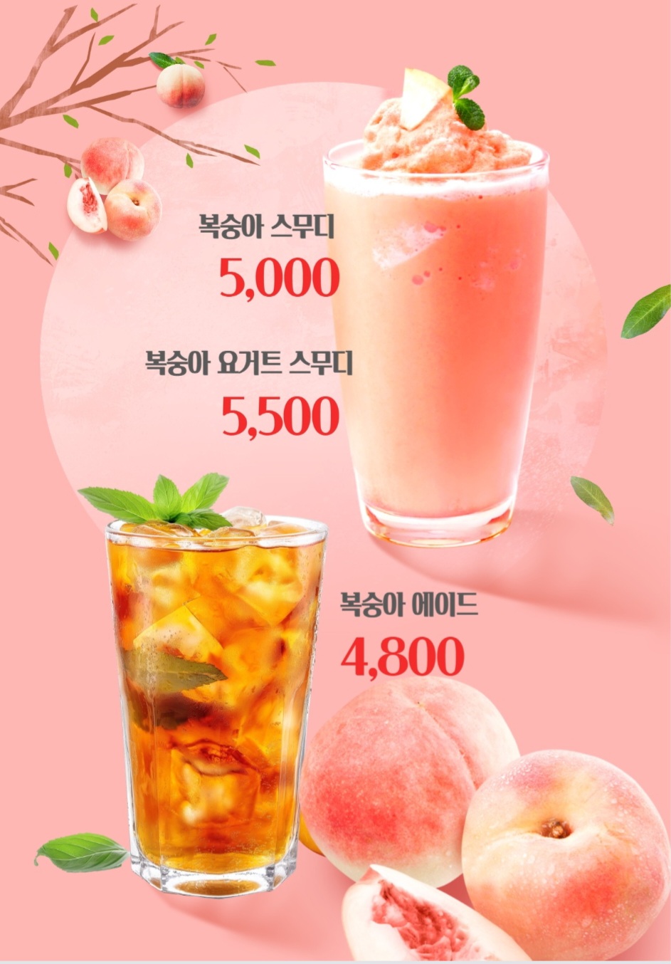 메뉴 이미지
