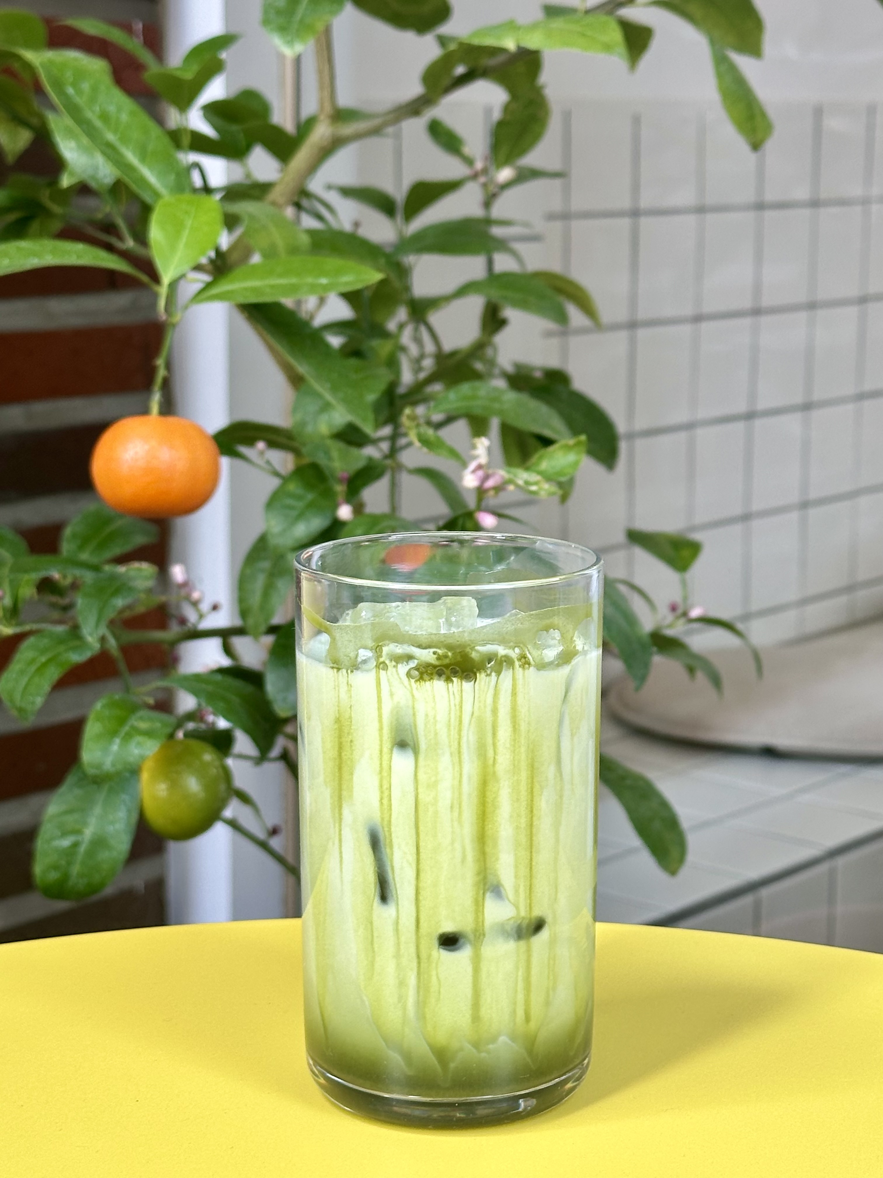 메뉴 이미지