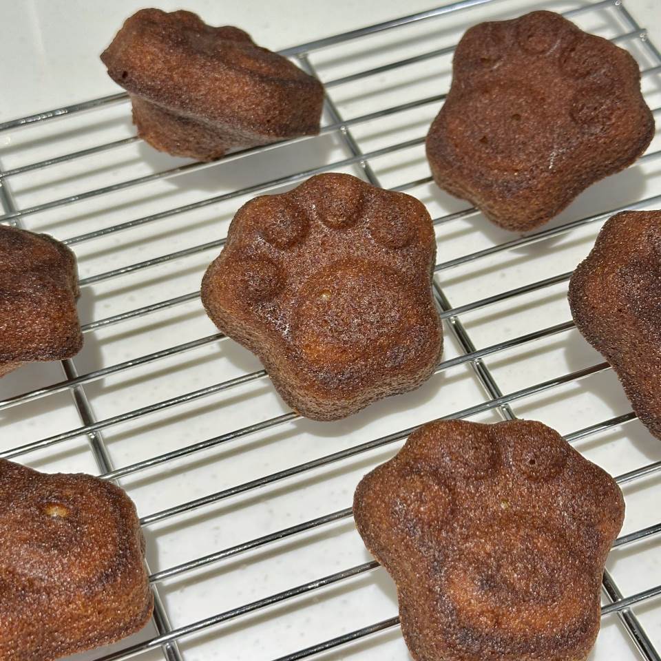 메뉴 이미지