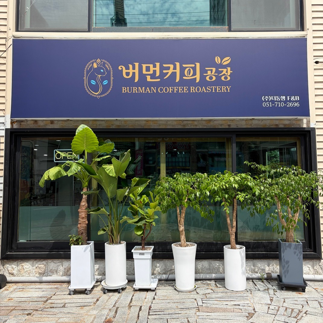 매장 이미지