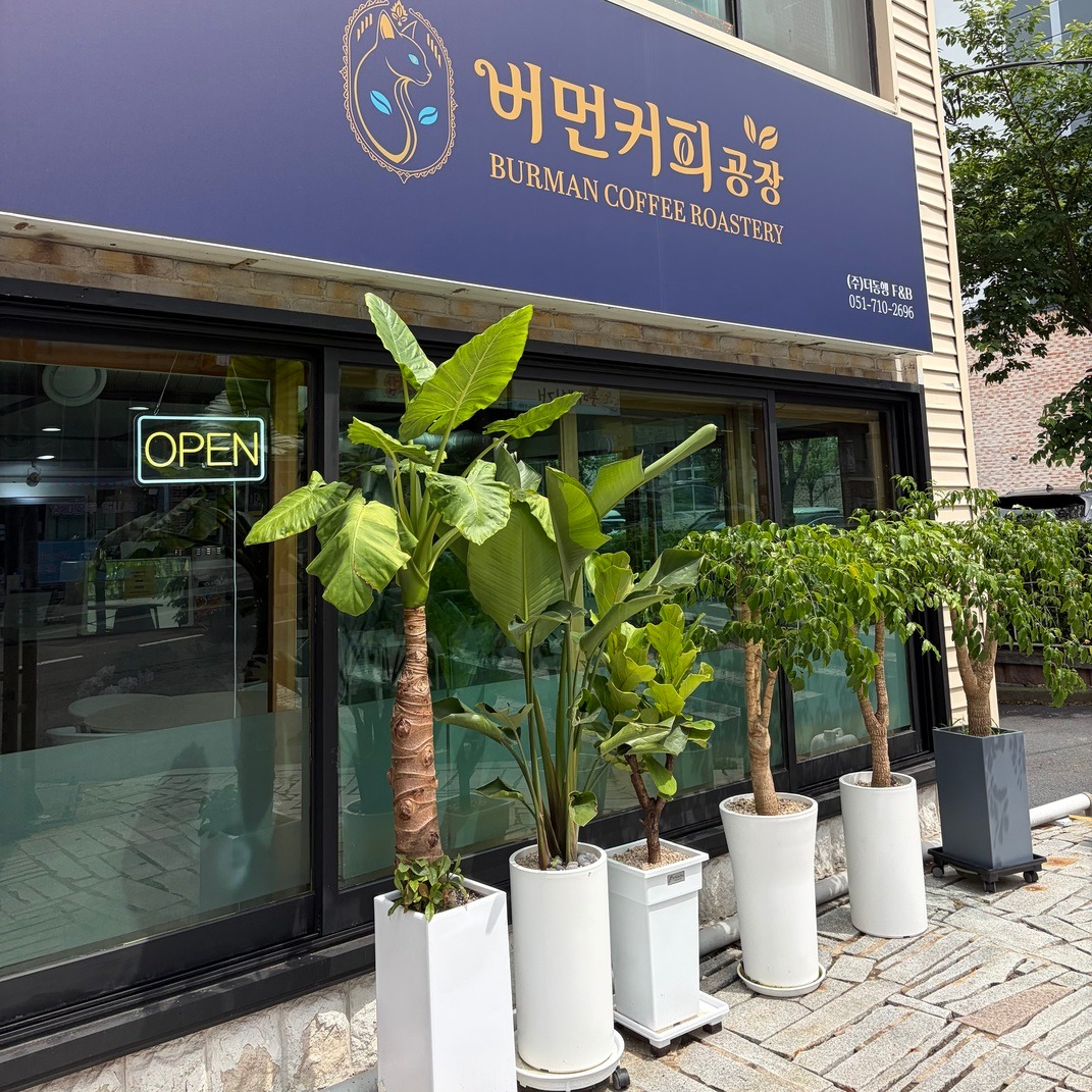 2번째 이미지