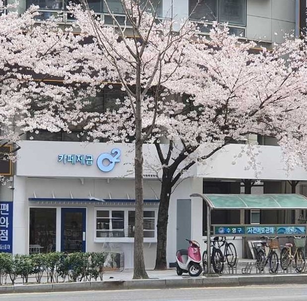 매장 이미지