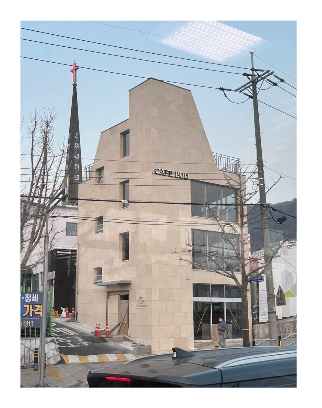 버드