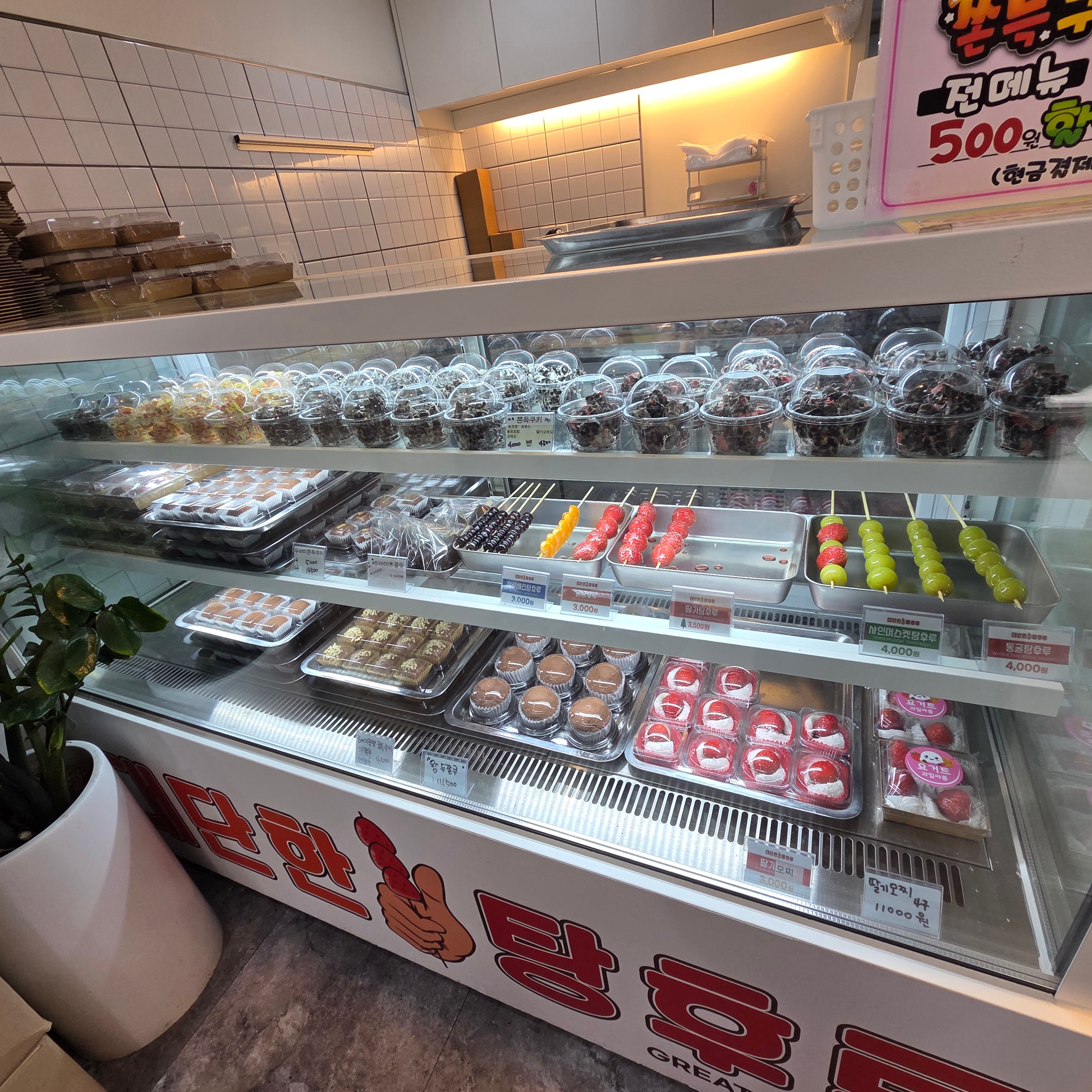 3번째 이미지