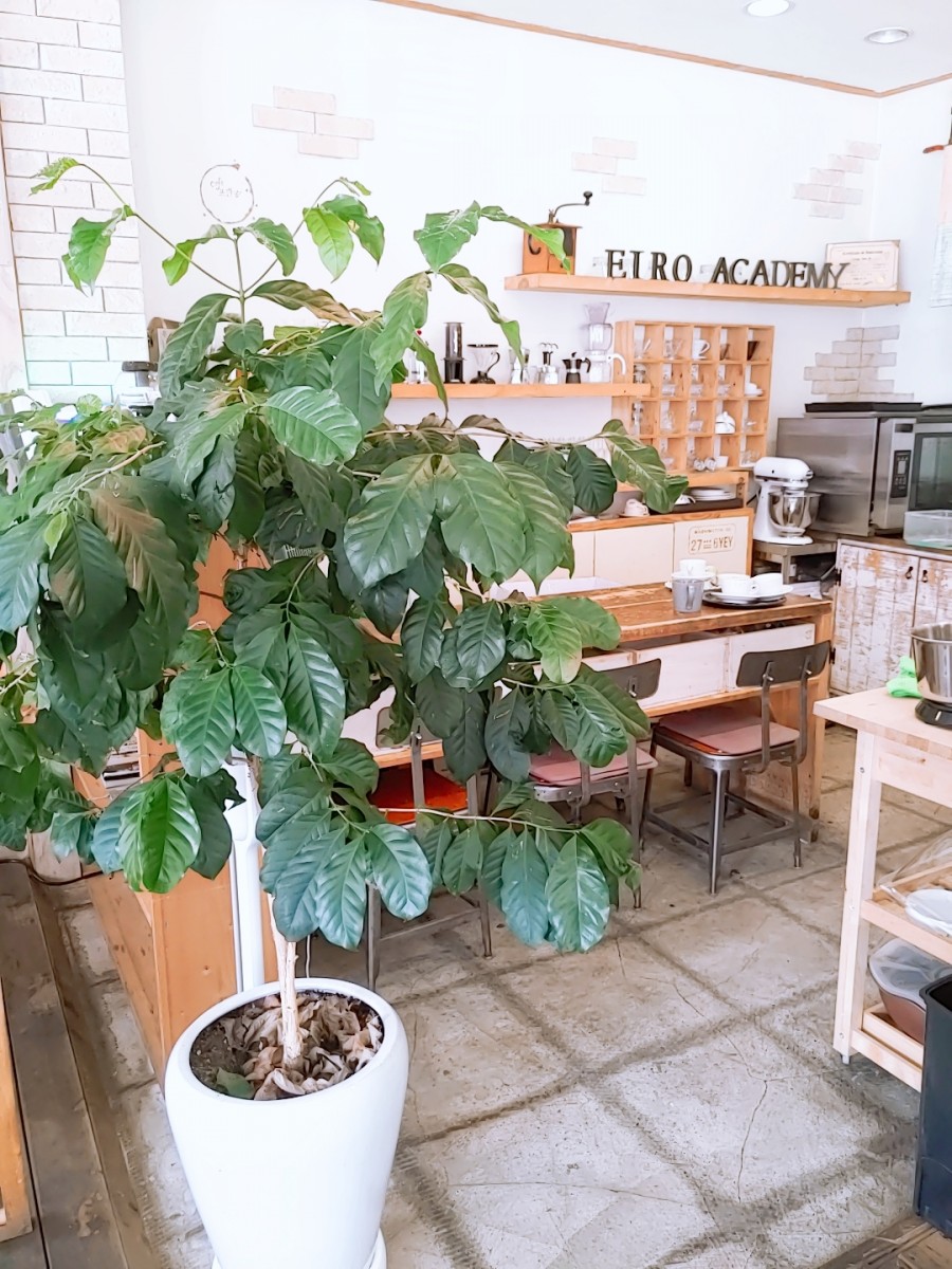 4번째 이미지