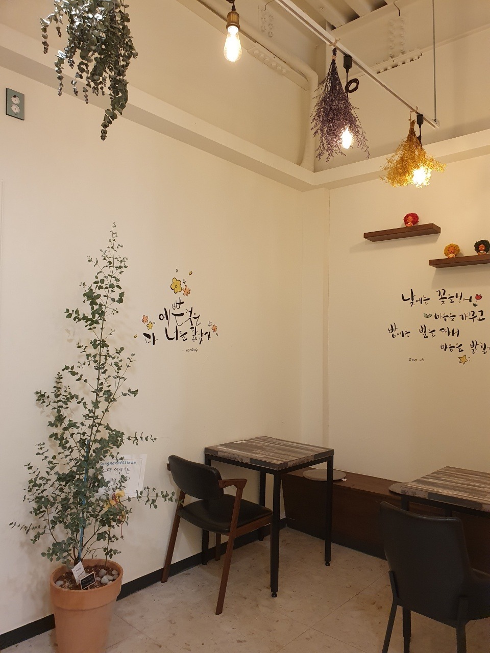 5번째 이미지