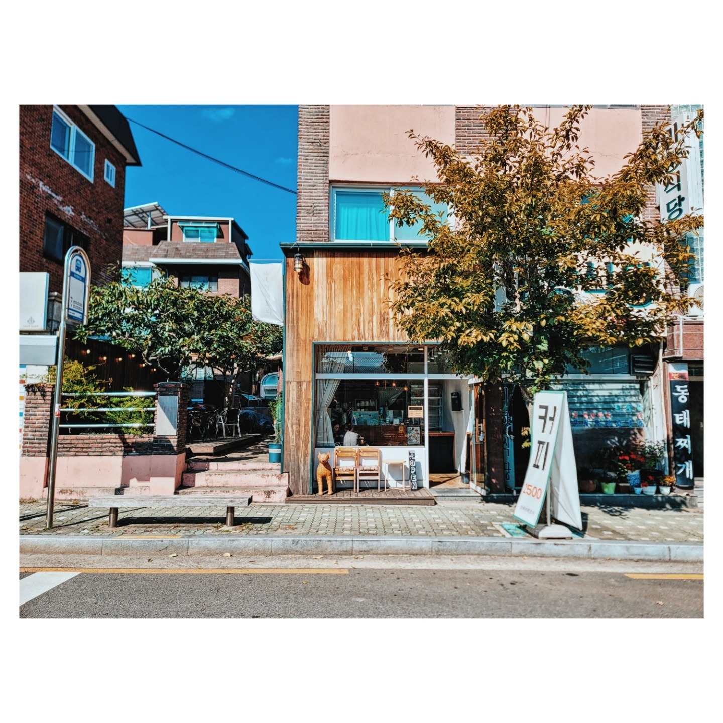 매장 이미지