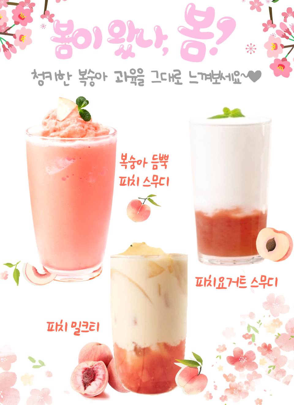 메뉴 이미지