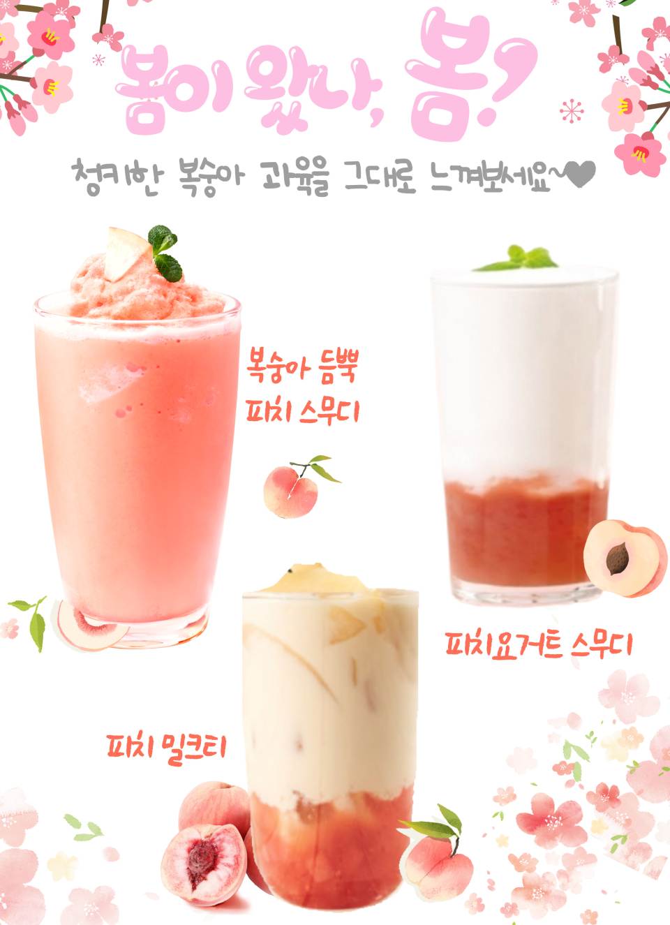 메뉴 이미지