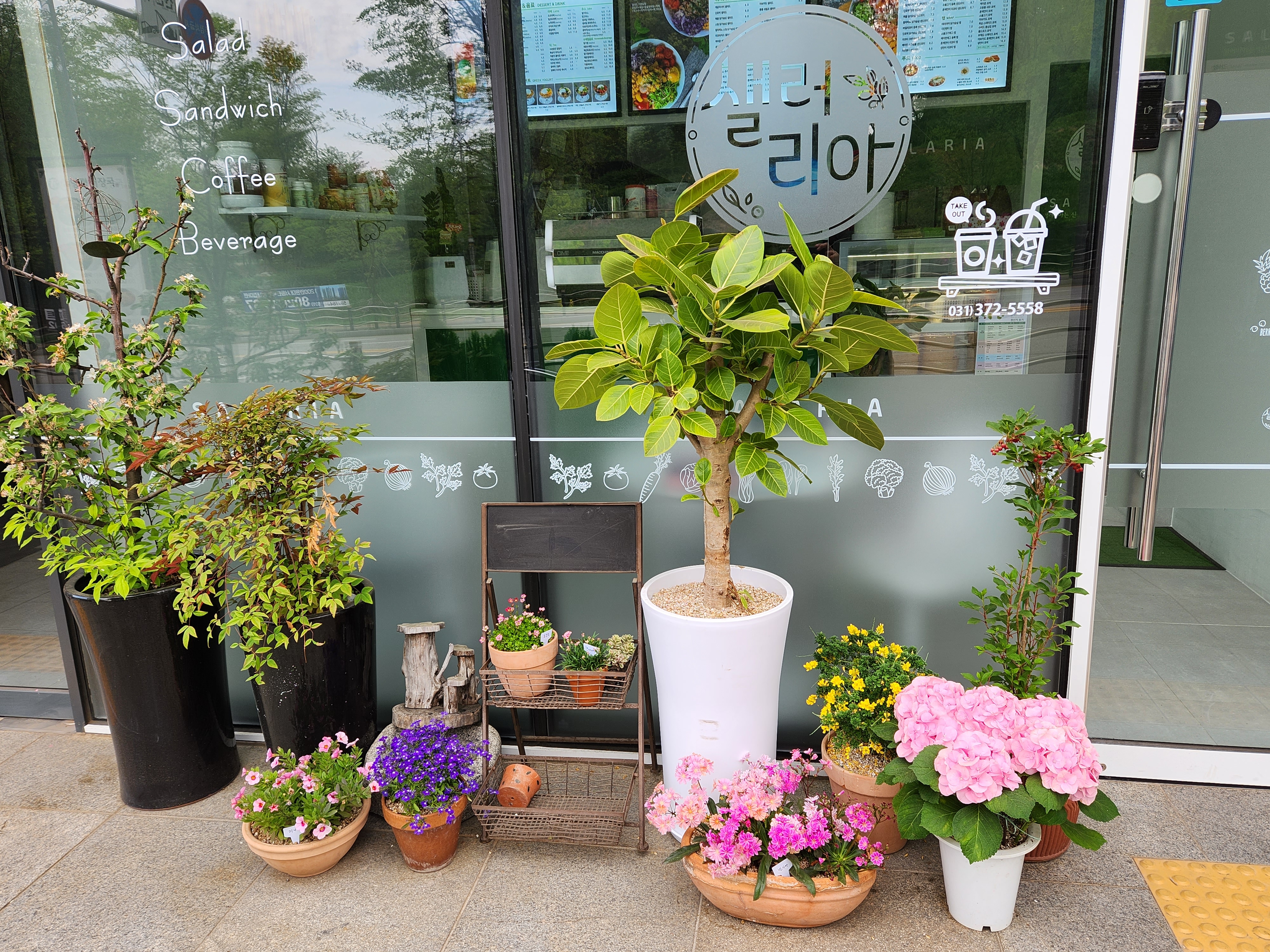 3번째 이미지