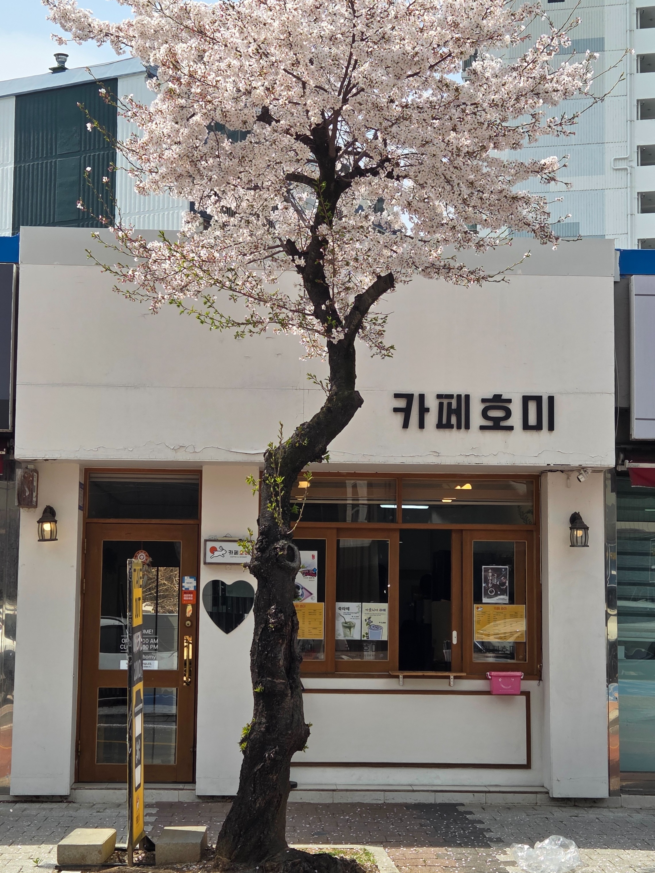 카페호미 매장 이미지