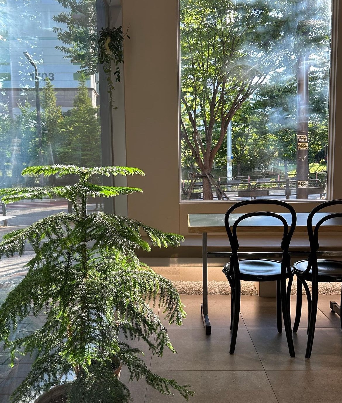 3번째 이미지