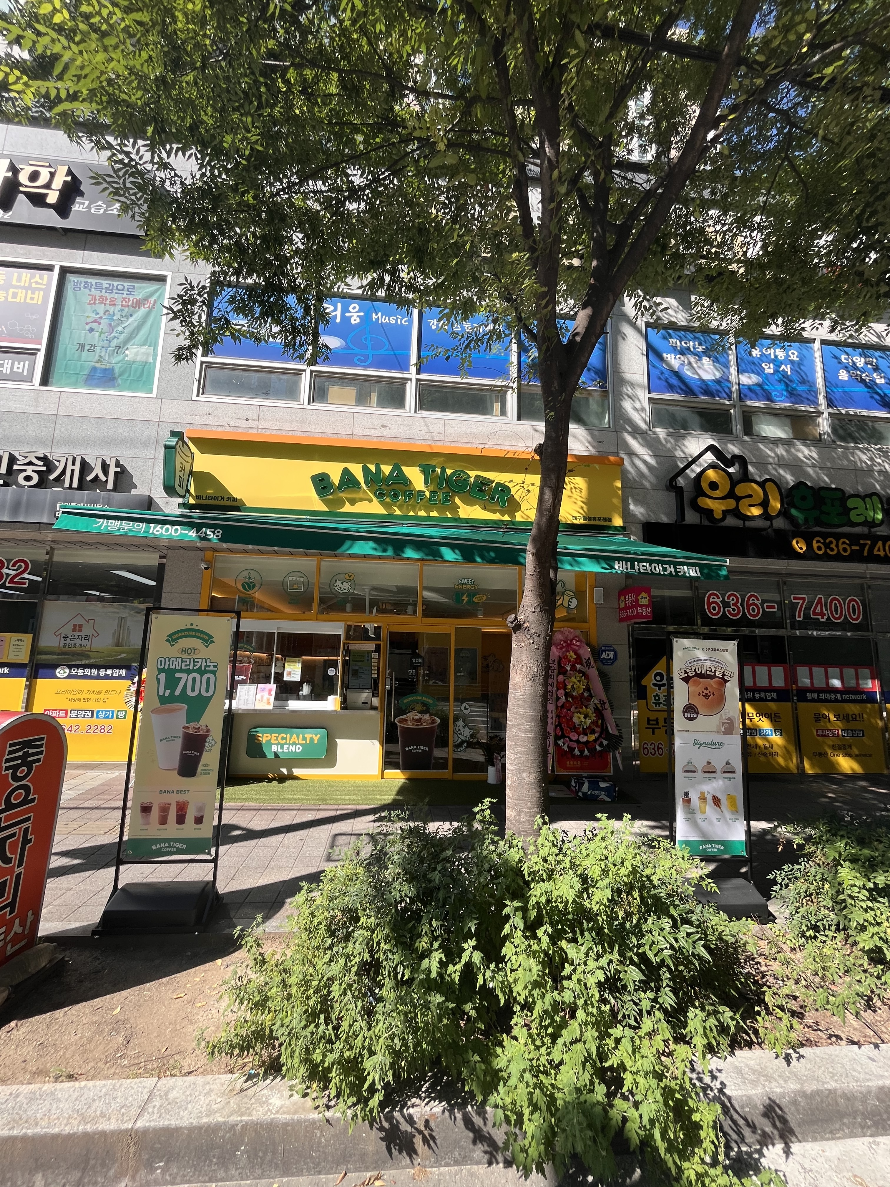 3번째 이미지