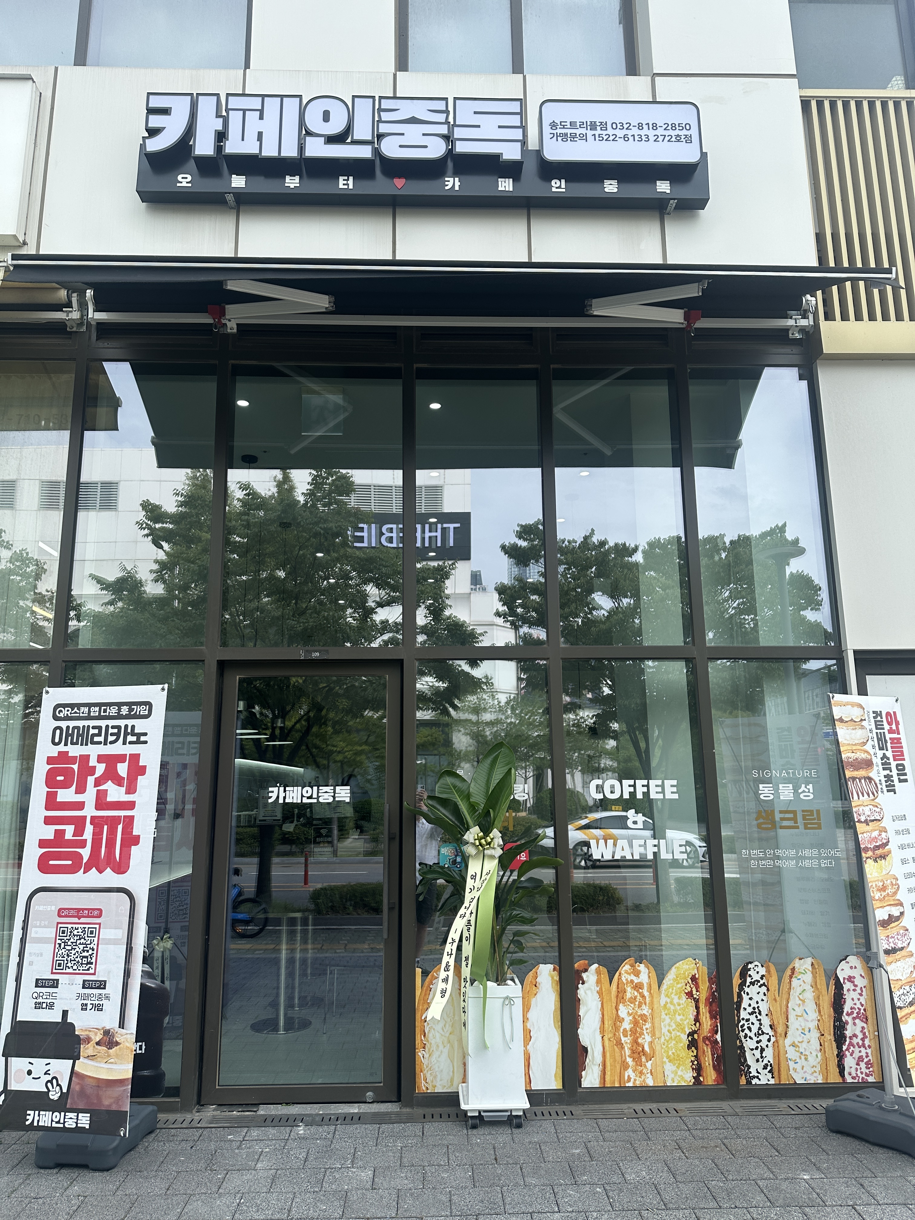 카페인중독 송도트리플점