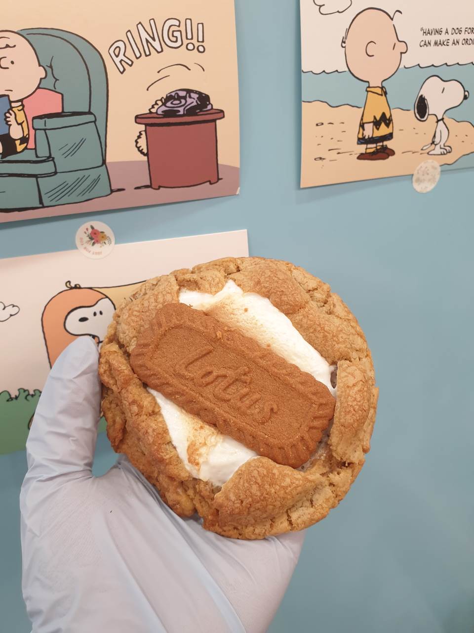 메뉴 이미지