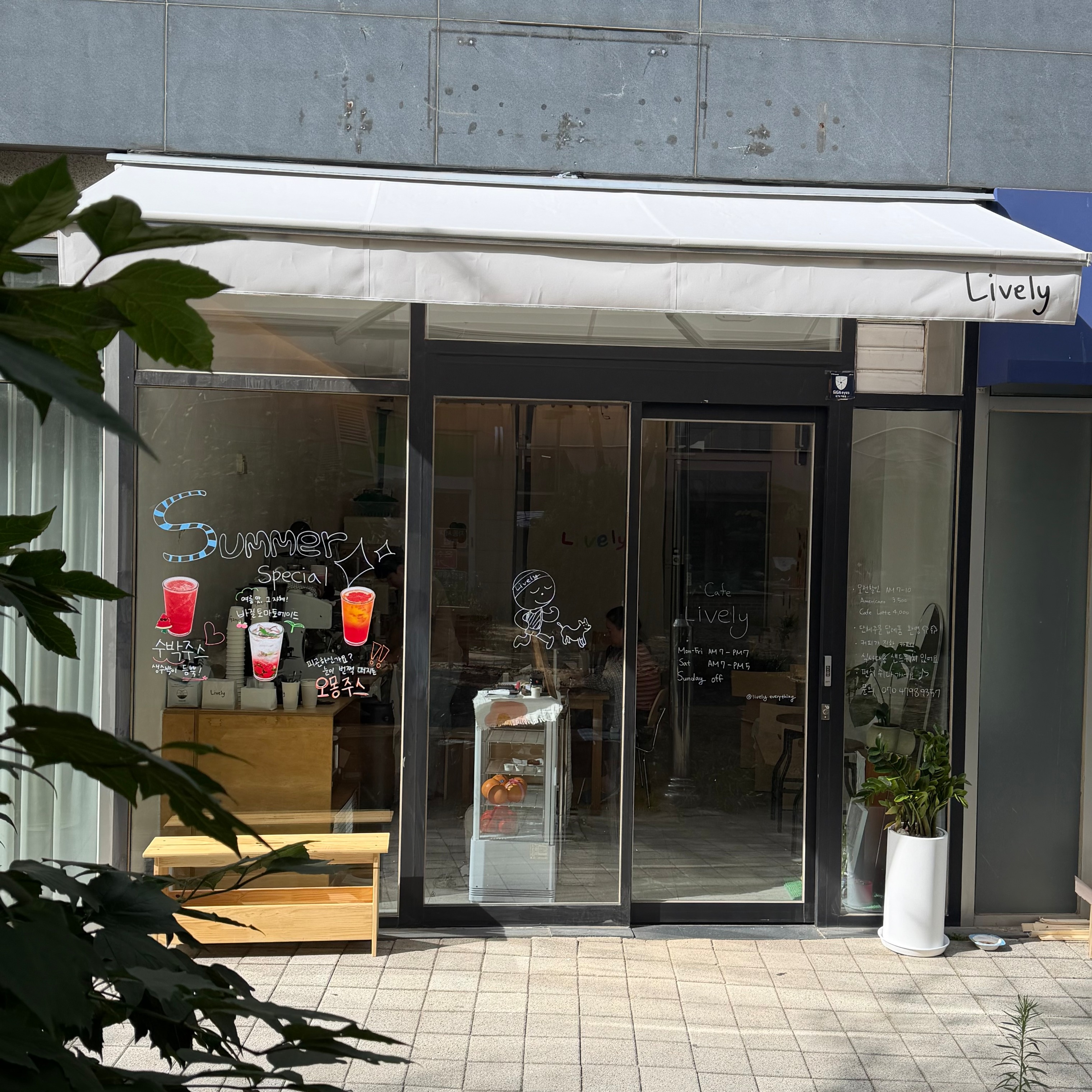 라이블리 매장 이미지