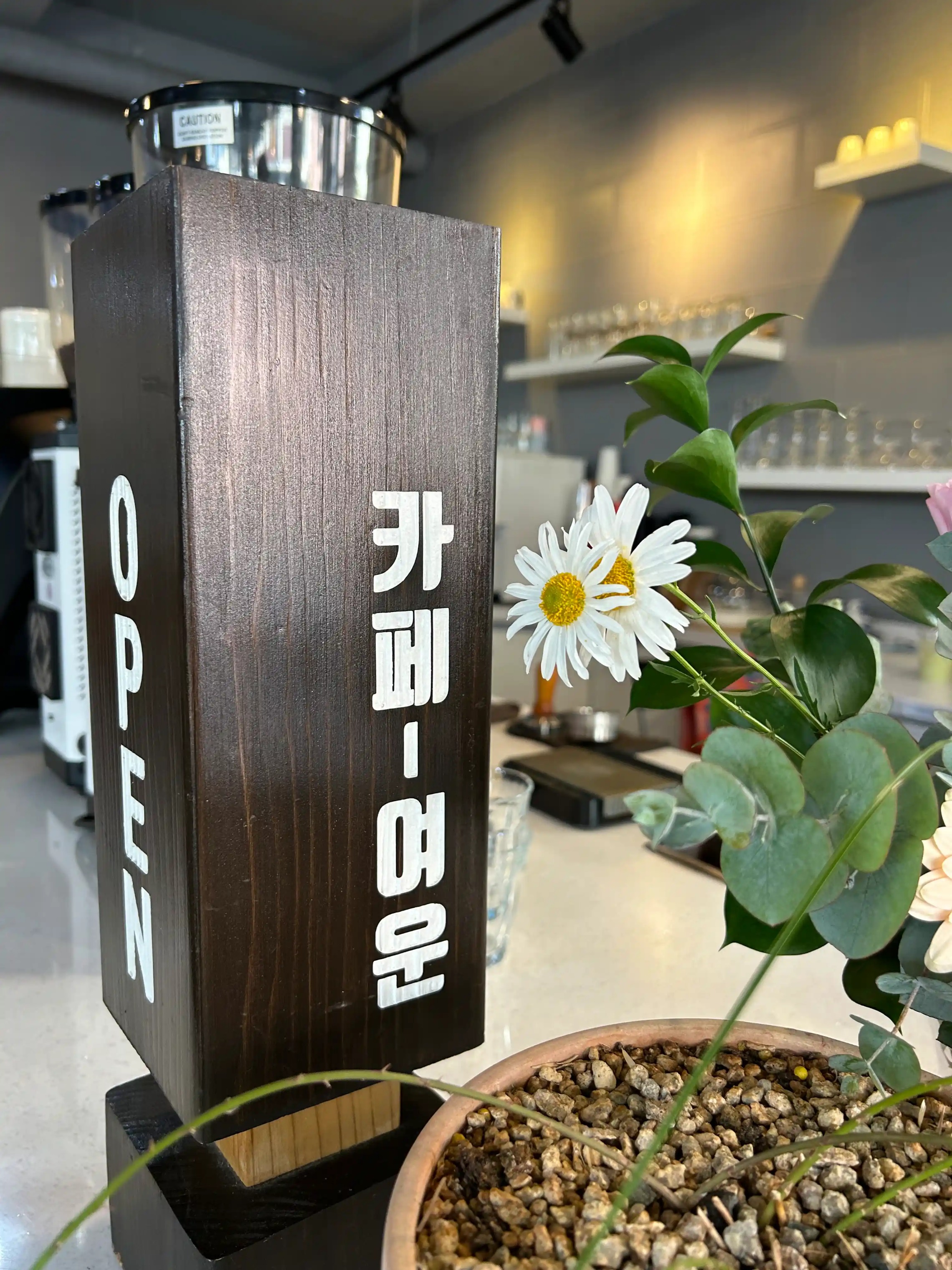 6번째 이미지