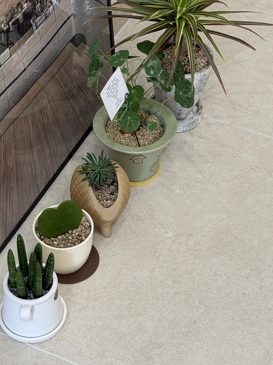 4번째 이미지