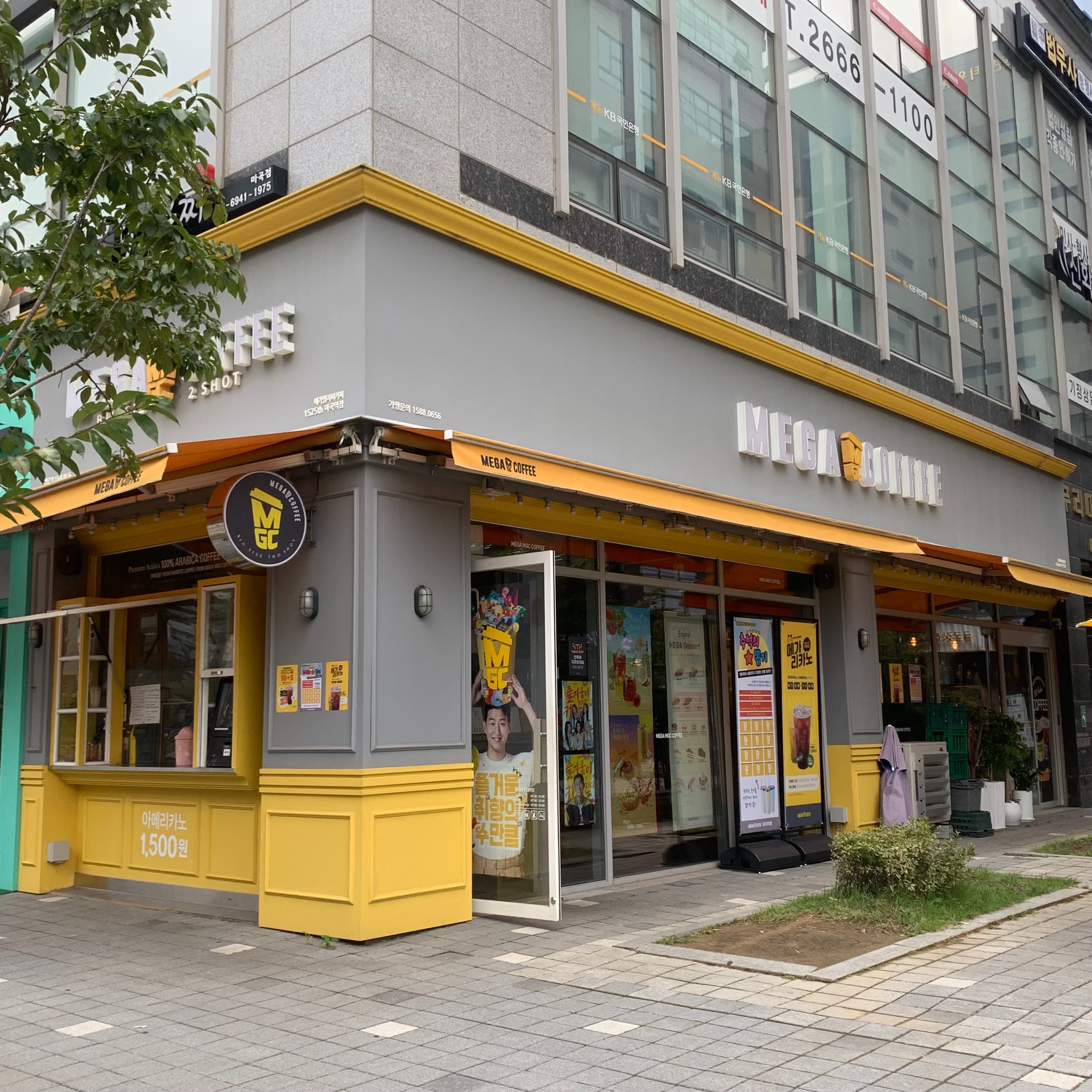 6번째 이미지