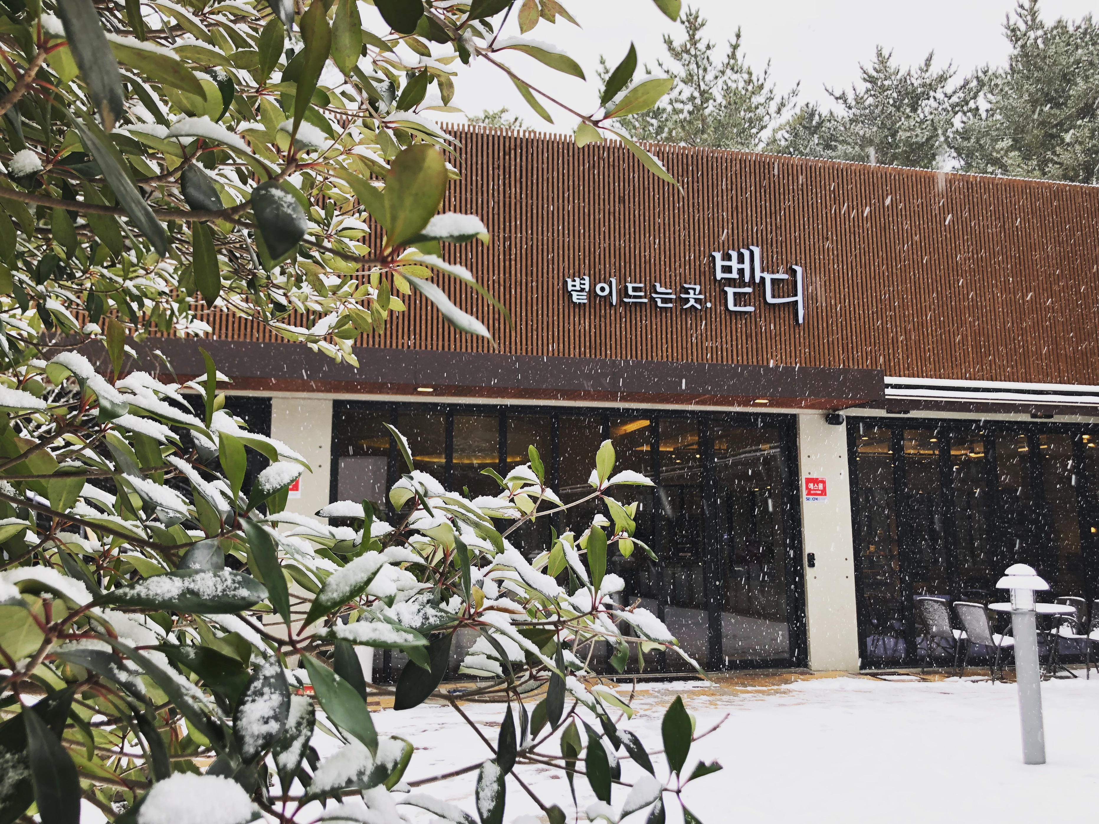 2번째 이미지