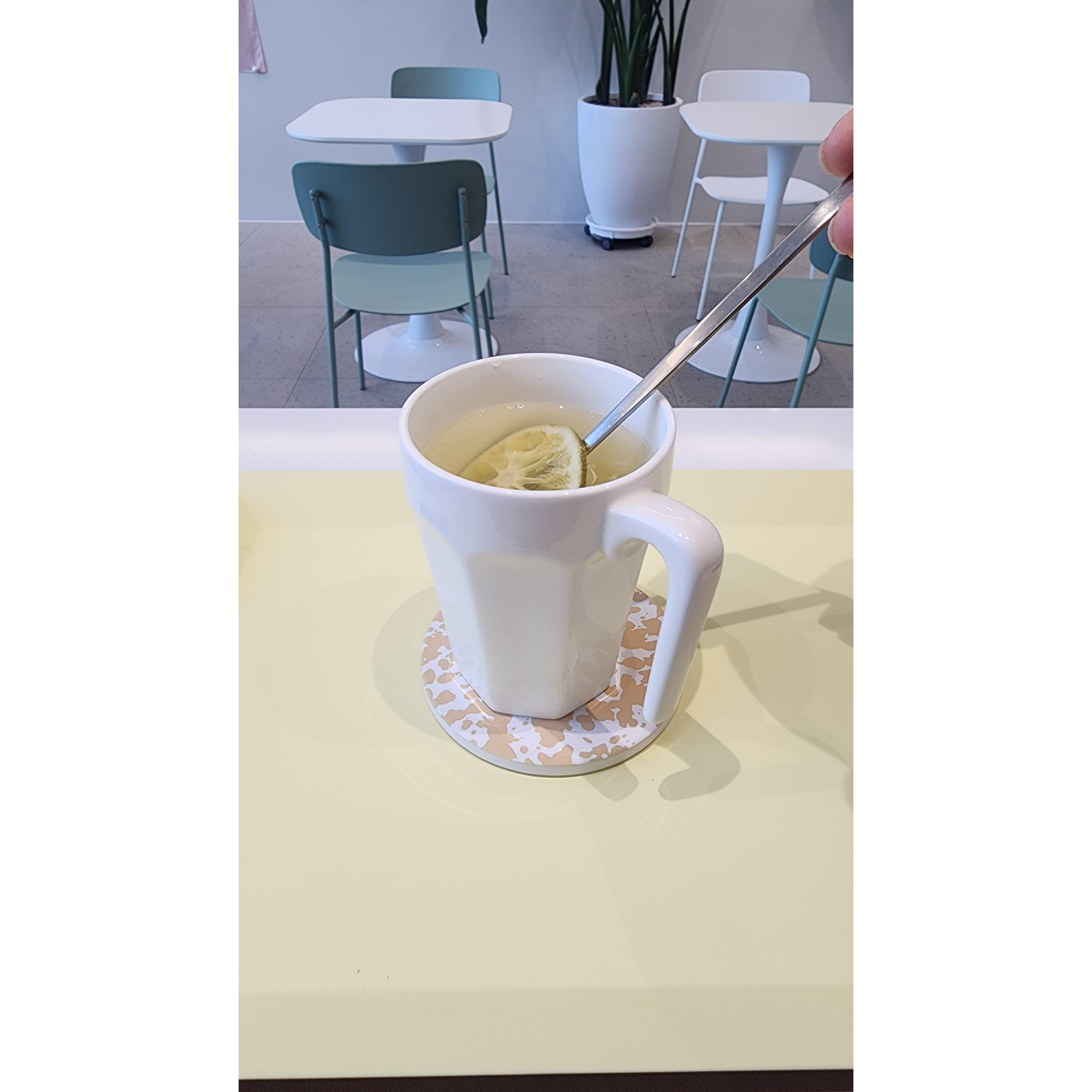 메뉴 이미지