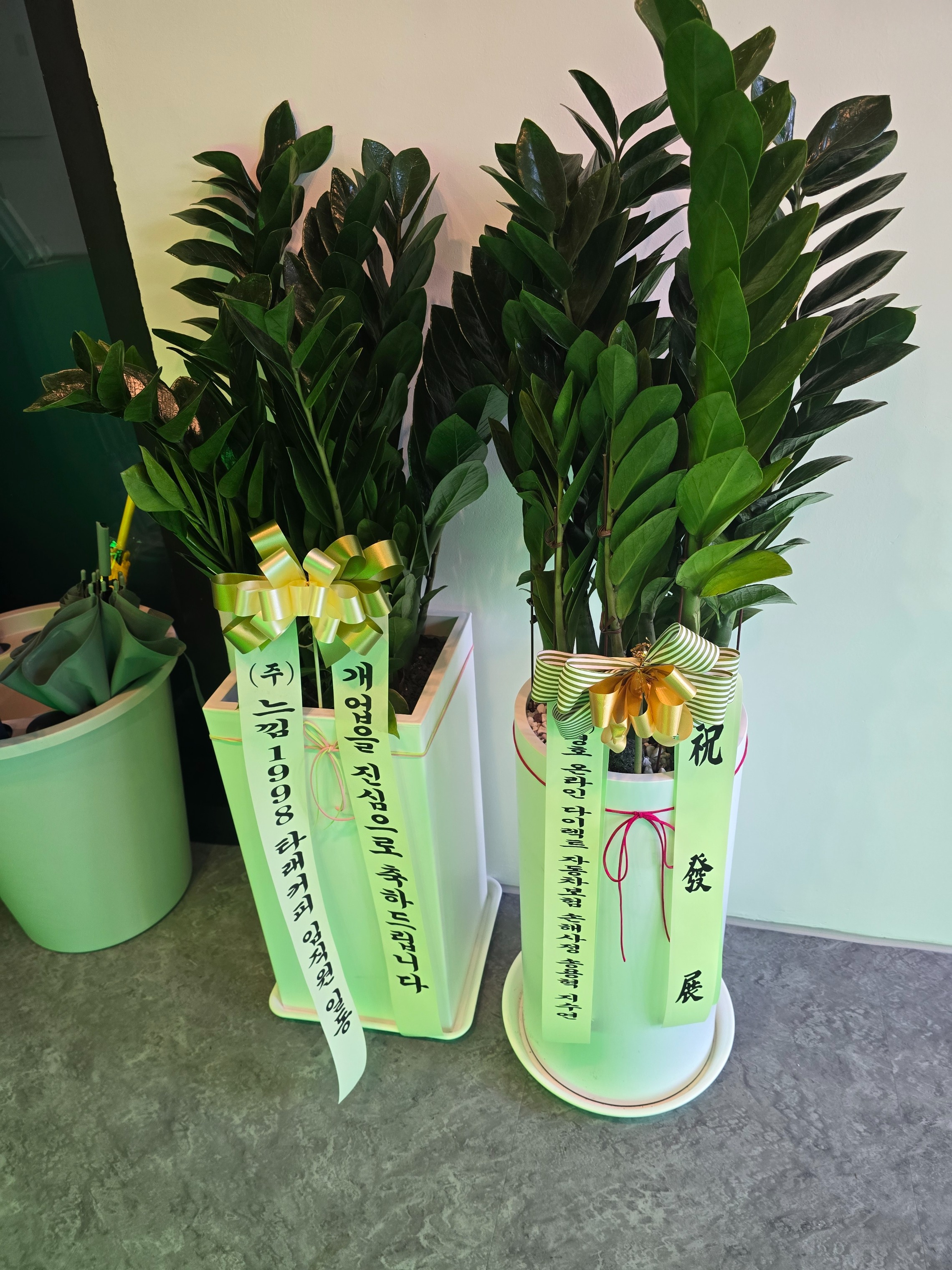 11번째 이미지