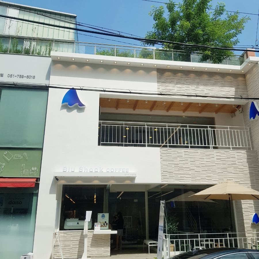 블루샥 수영점
