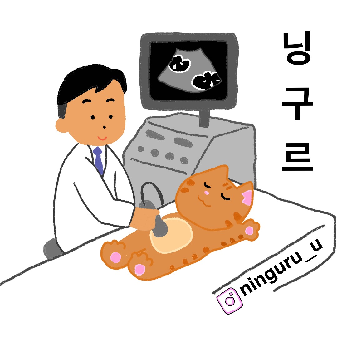 매장 이미지