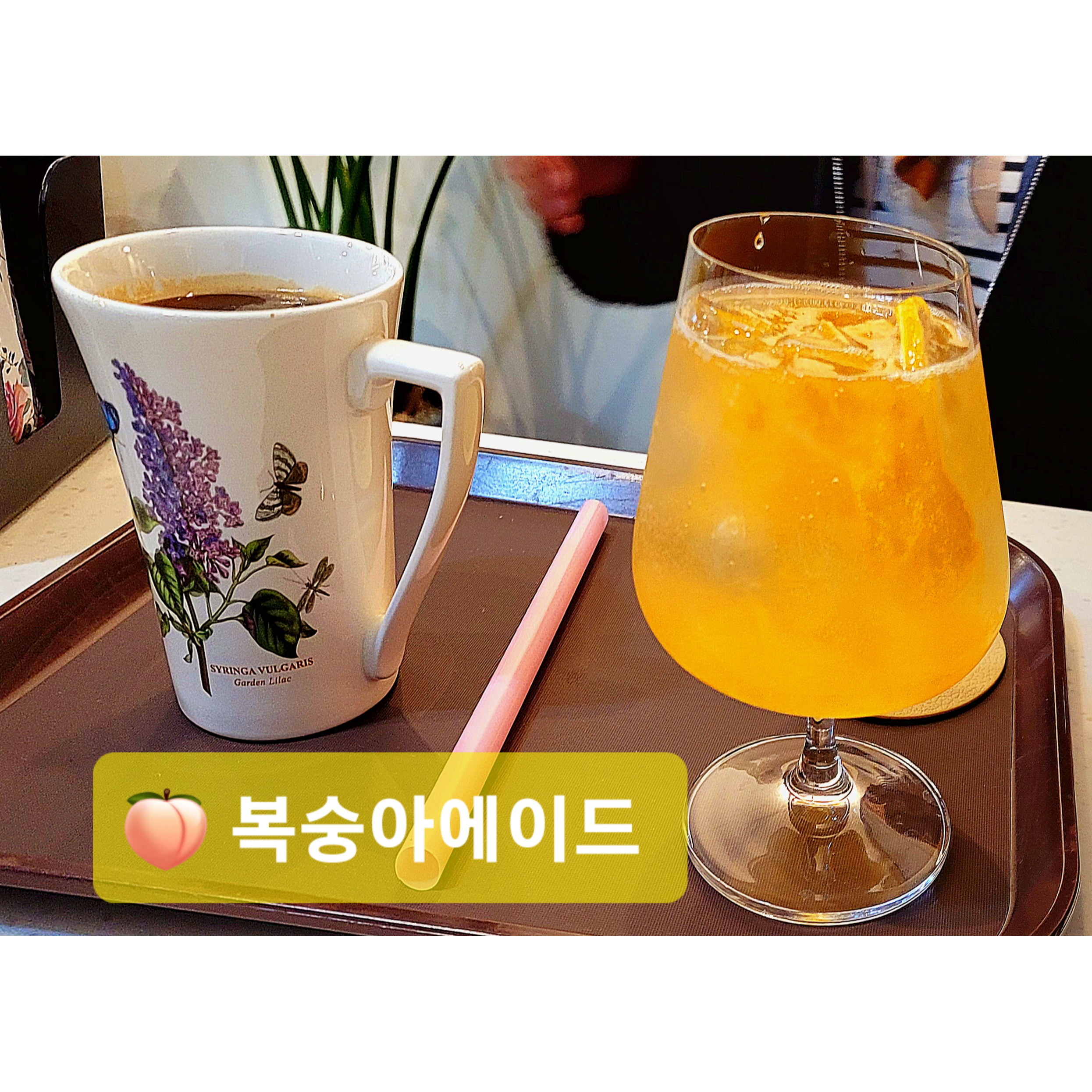 메뉴 이미지