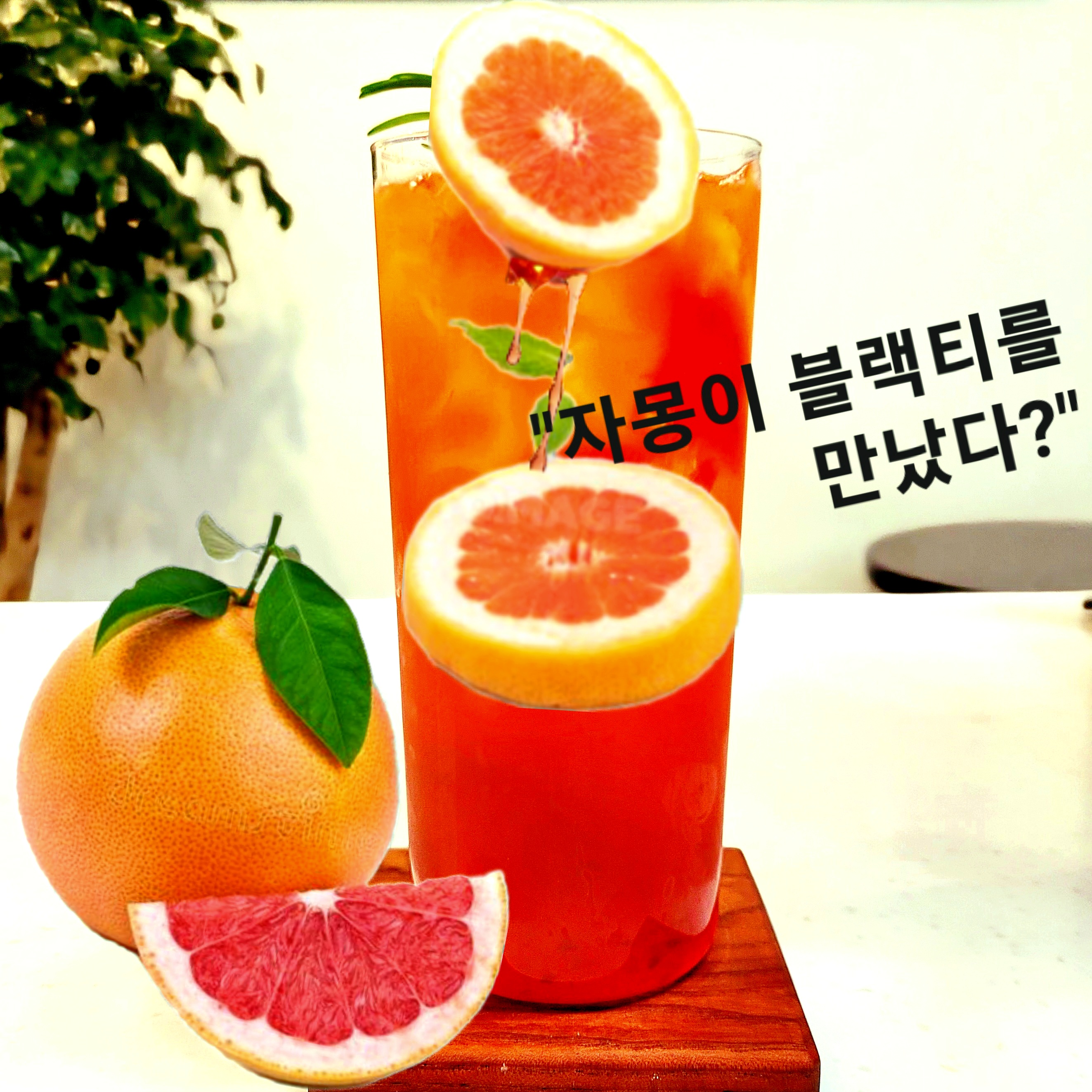 메뉴 이미지