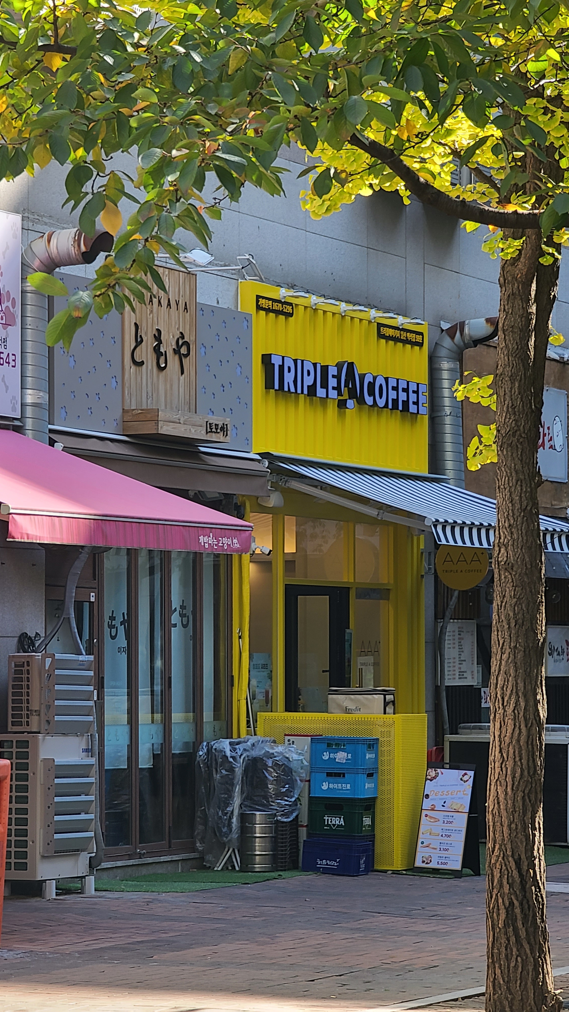 3번째 이미지