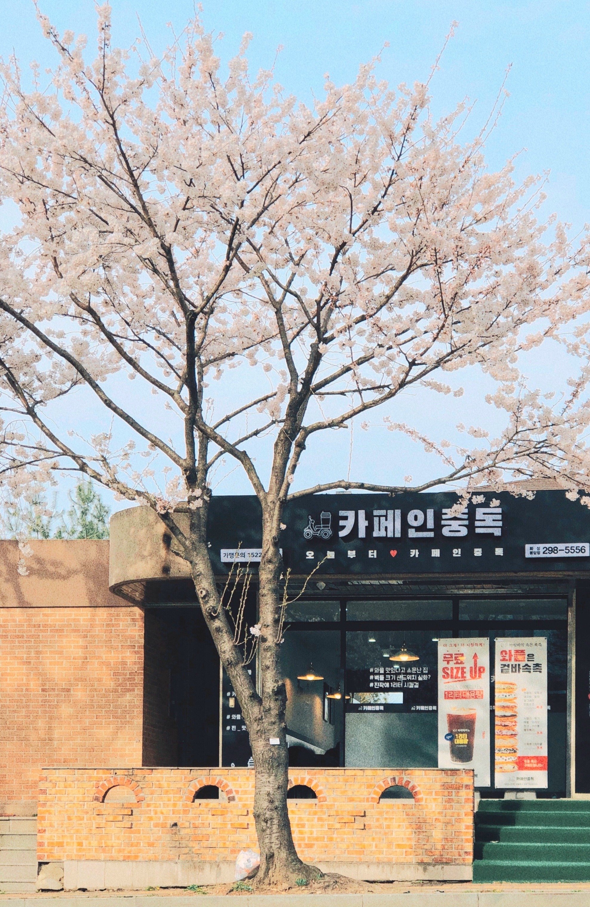 매장 이미지