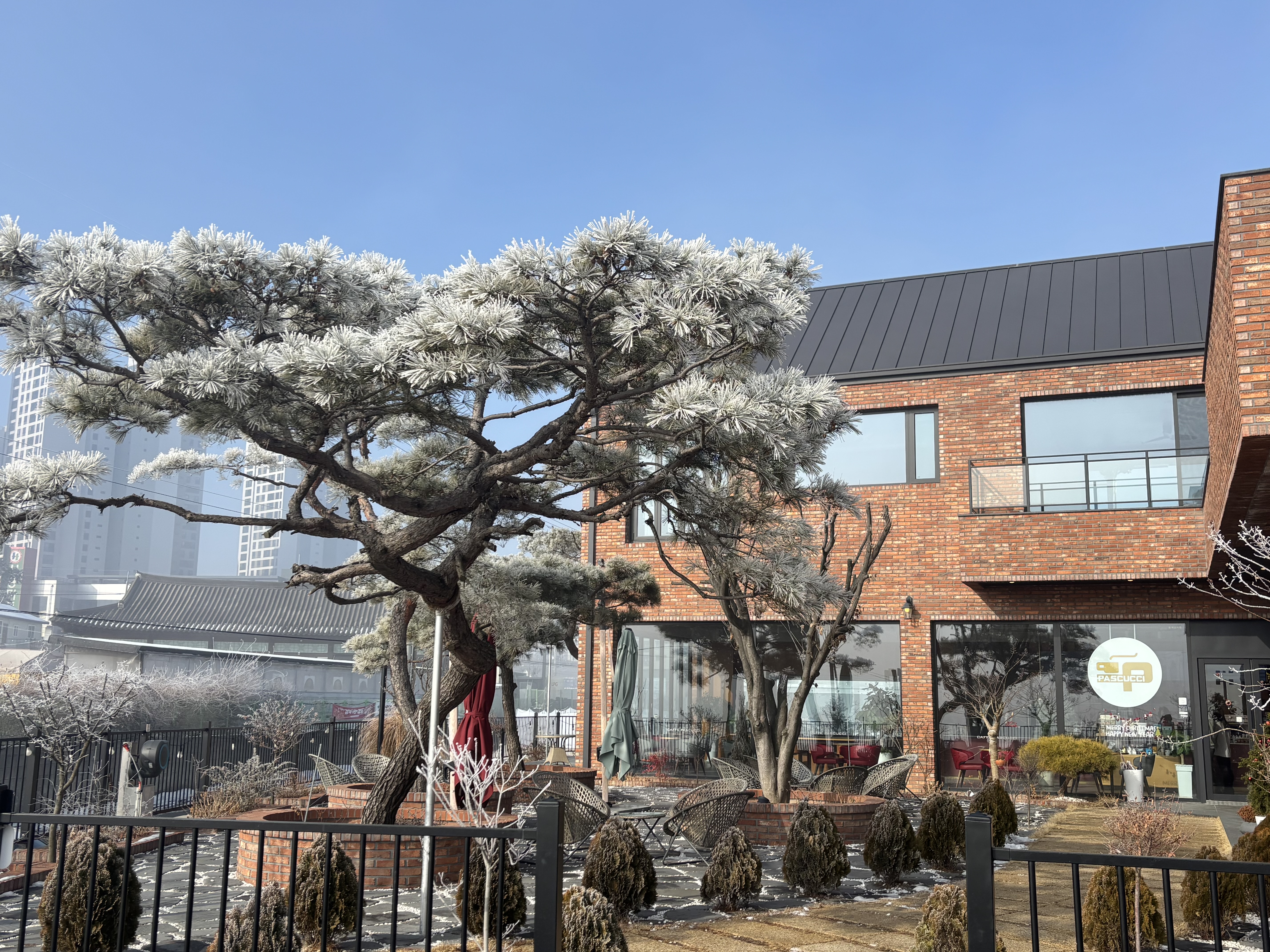 3번째 이미지
