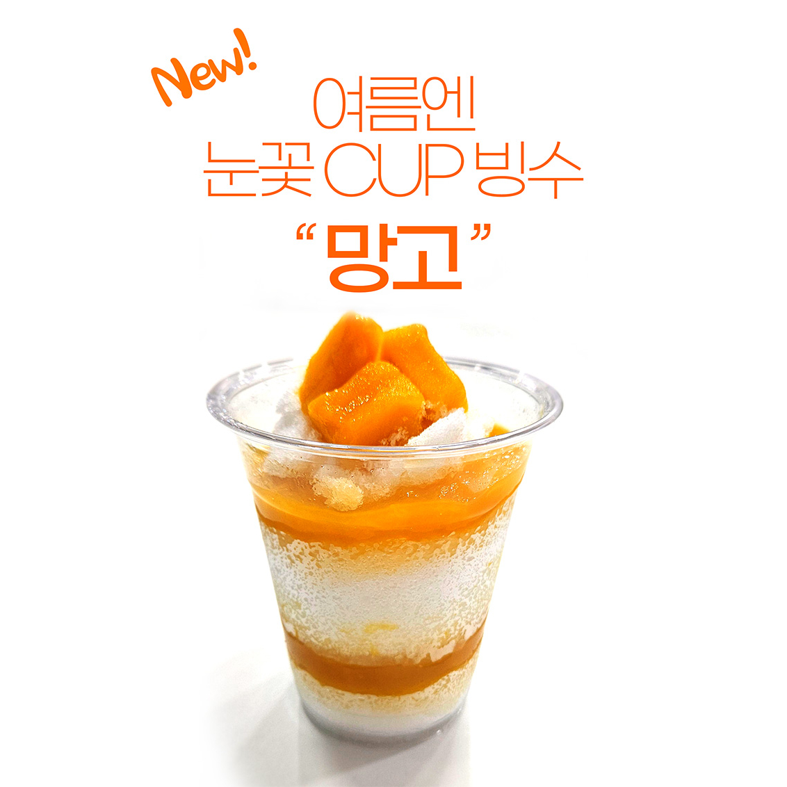 메뉴 이미지
