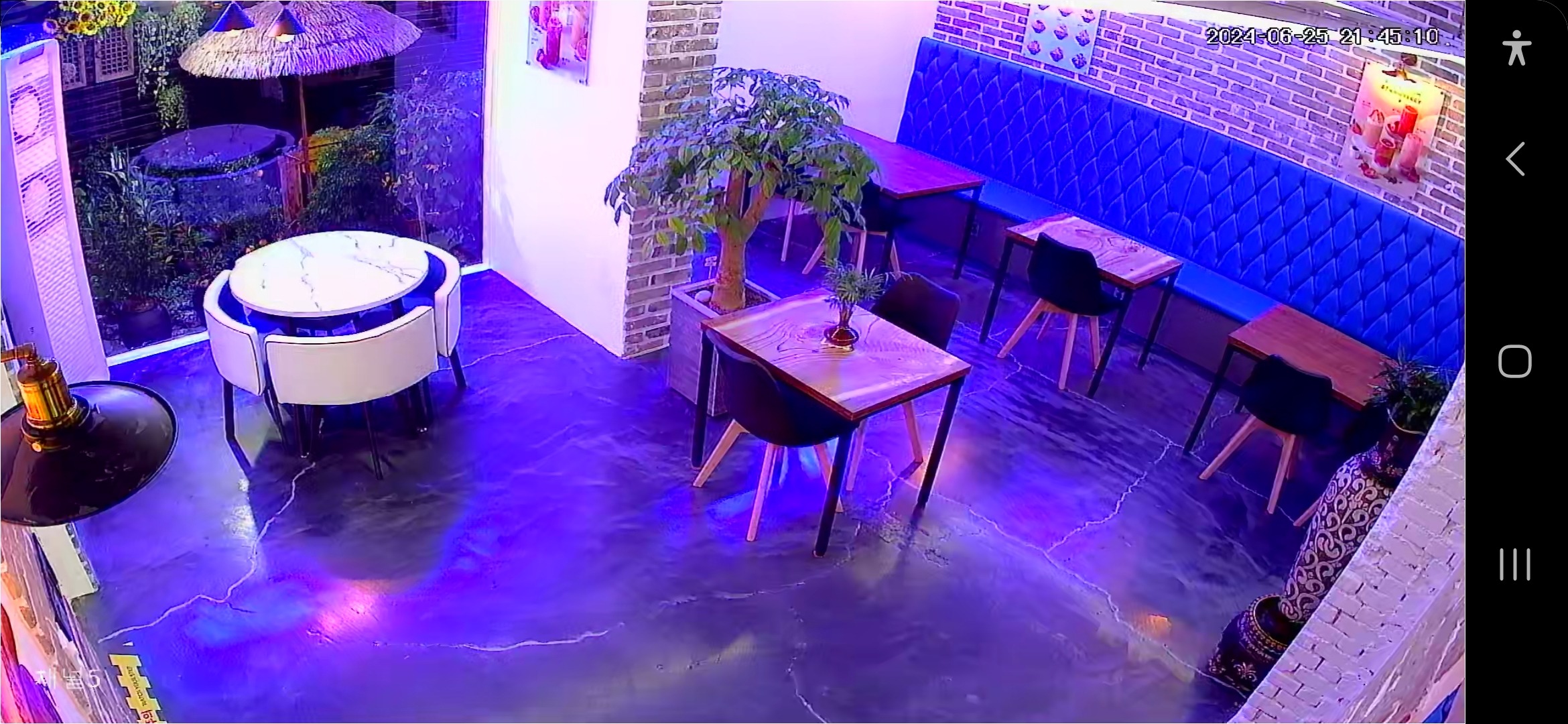 6번째 이미지