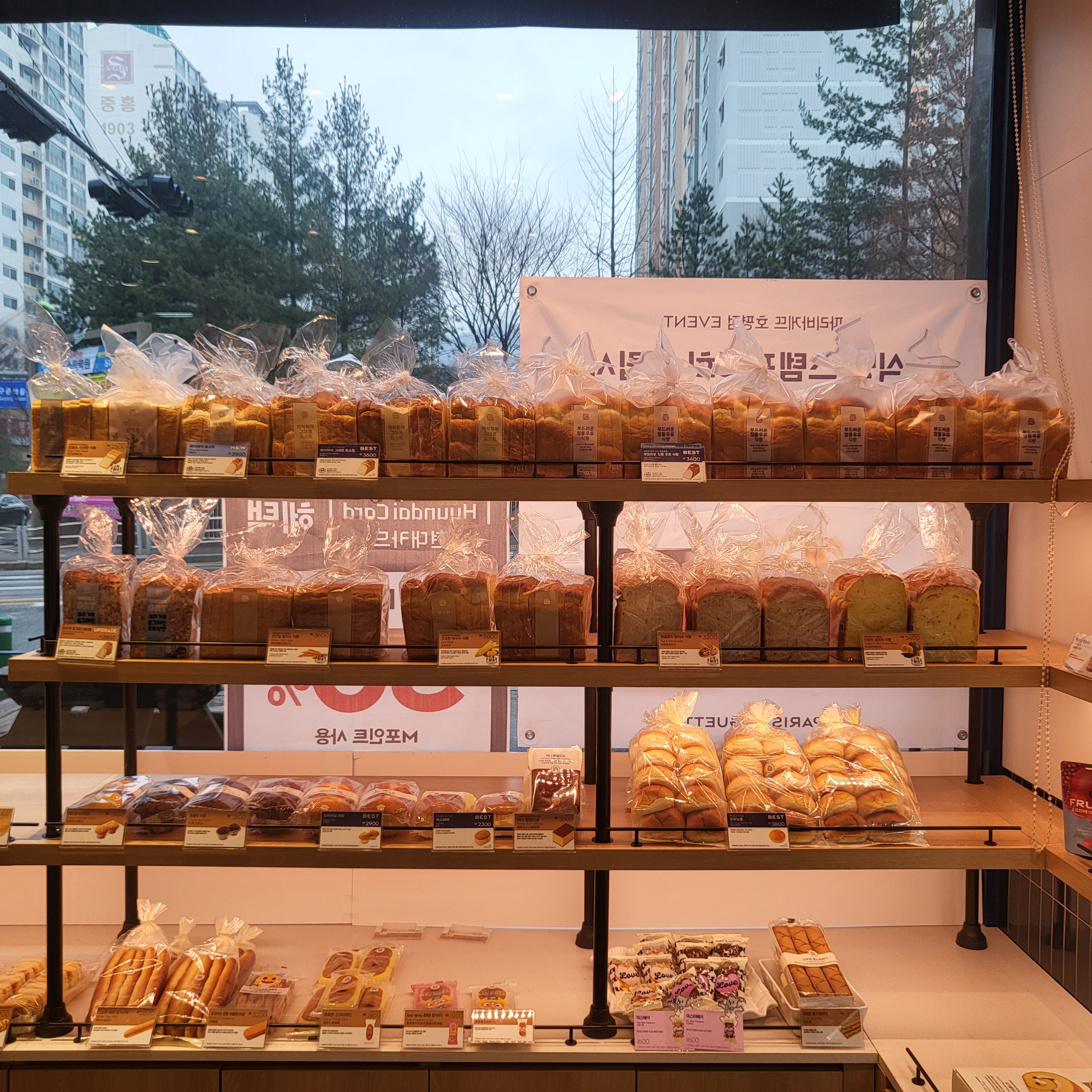 6번째 이미지