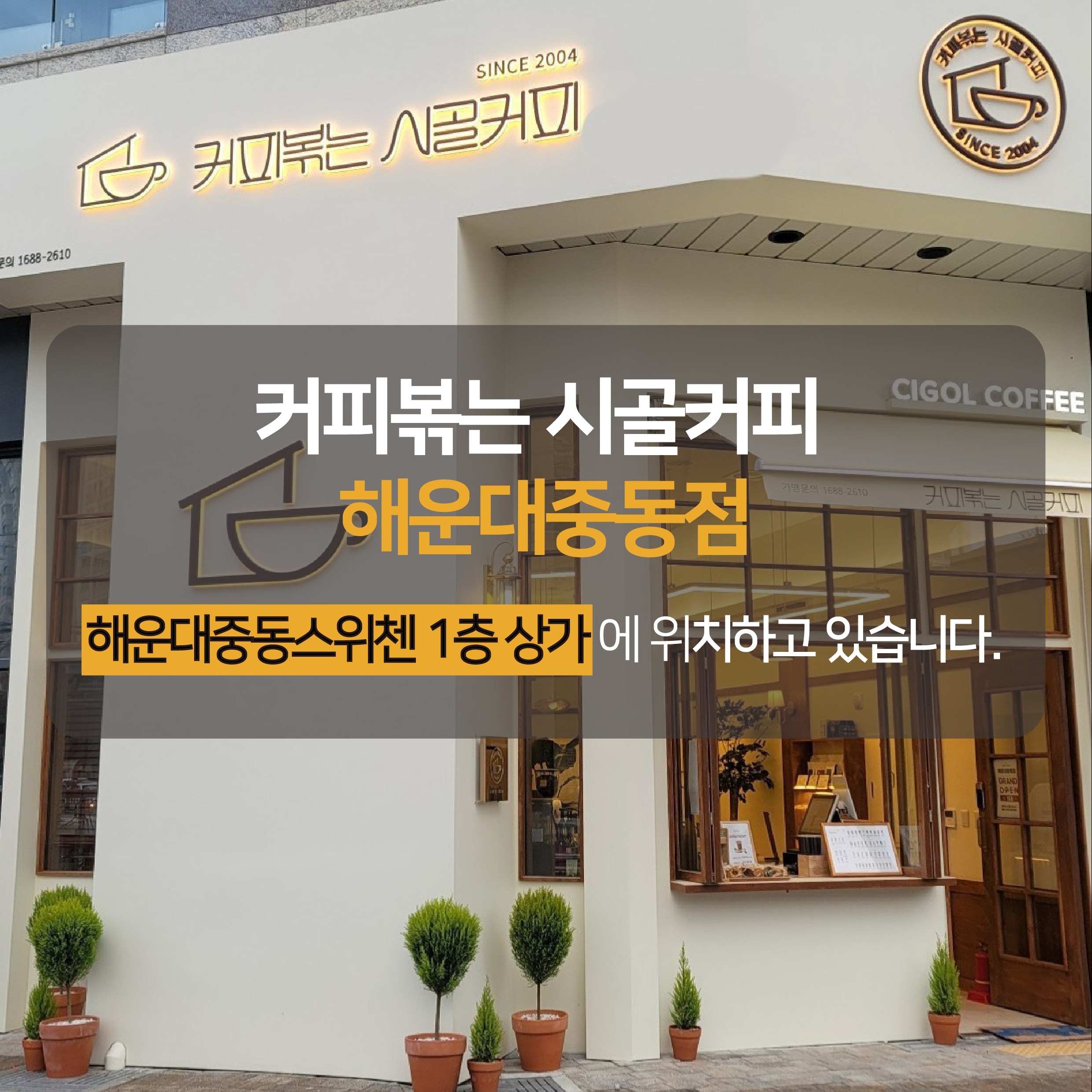 커피볶는 시골커피 해운대중동점 매장 이미지