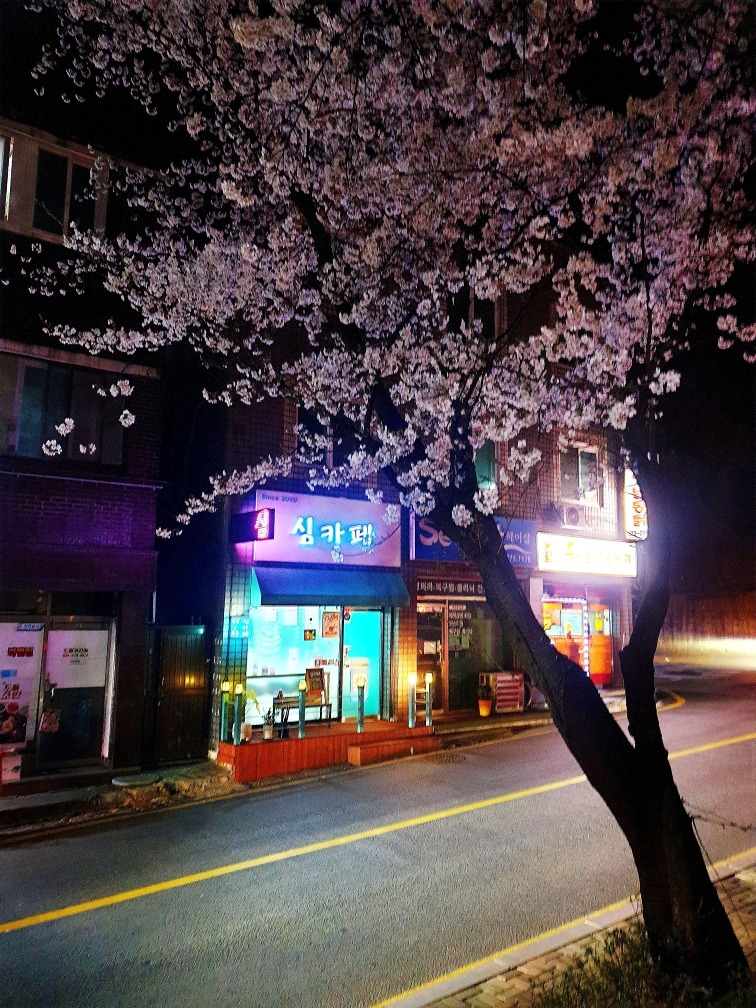 매장 이미지