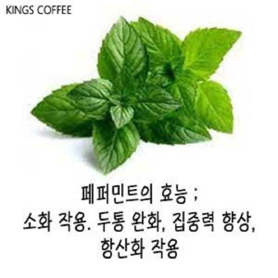 메뉴 이미지