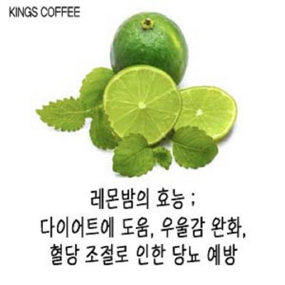 메뉴 이미지